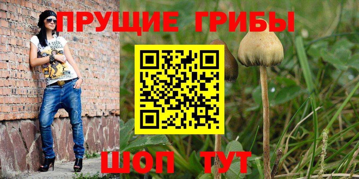 Ивантеевка  магазин продажи наркотиков  Вход с VPN  Галлюциногенные грибы GOLDEN TEACHER 