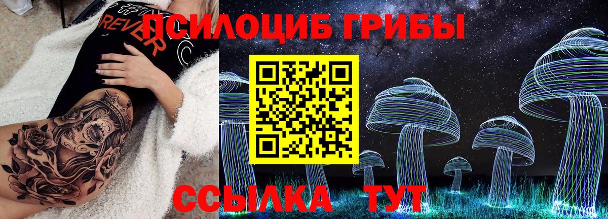 Псилоцибиновые грибы GOLDEN TEACHER Ивантеевка
